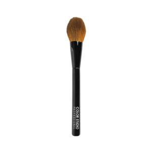 Color Studio Blush On Brush