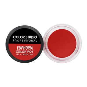 Color Studio Color Pot Lip Euphoria 1602