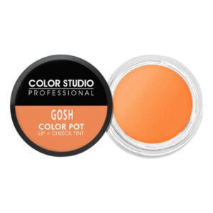 Color Studio Color Pot Lip Gosh - 1521
