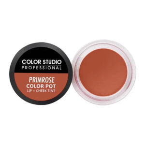 Color Studio Color Pot Lip Primrose 1601