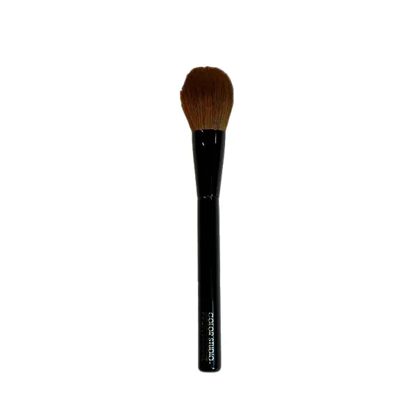 Color Studio Tilt Head Smudge Brush